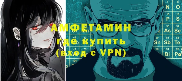 индика Волоколамск