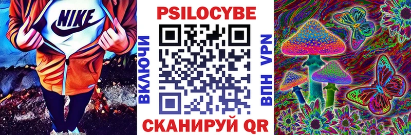 где продают   Ипатово  Галлюциногенные грибы MAGIC MUSHROOMS 
