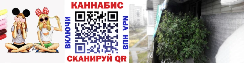 Конопля марихуана Ипатово